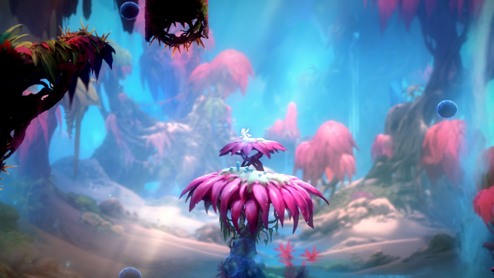 绿茵与硬木的王国,当意甲焦点战映射灰熊与国王的巅峰法则