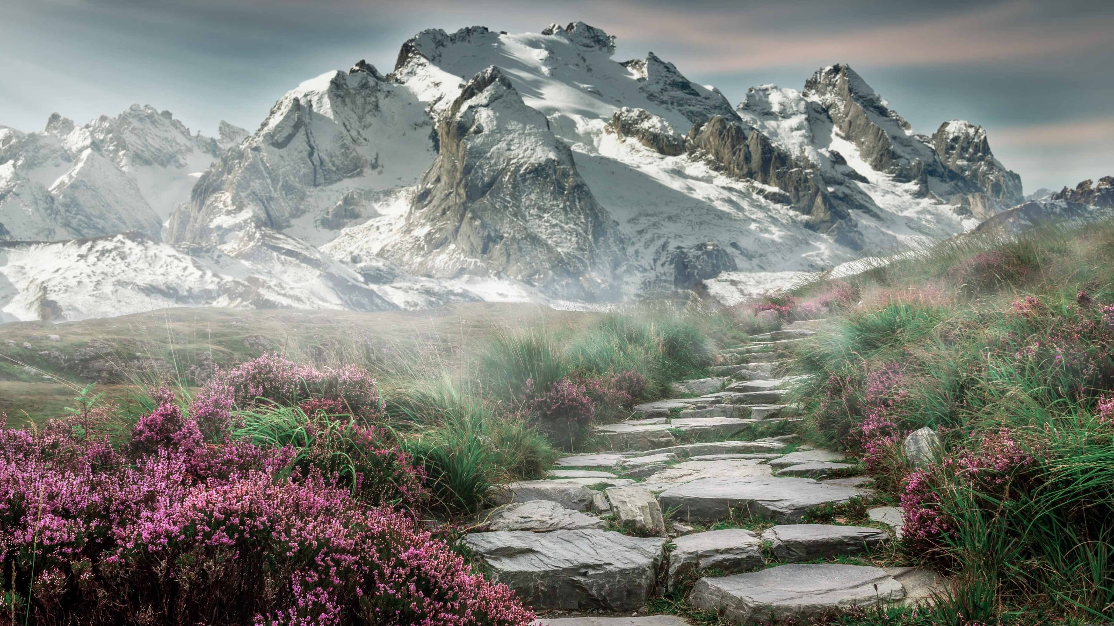 中场枢纽的统治，帕尔默导演塞内加尔对加纳的战术压制