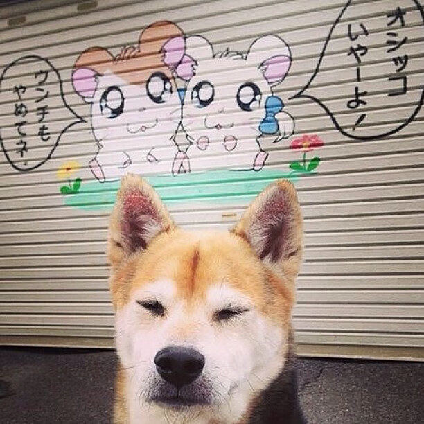 补时绝杀与排名逆袭，加克波一锤定音，比利亚雷亚尔绝境掀翻美国