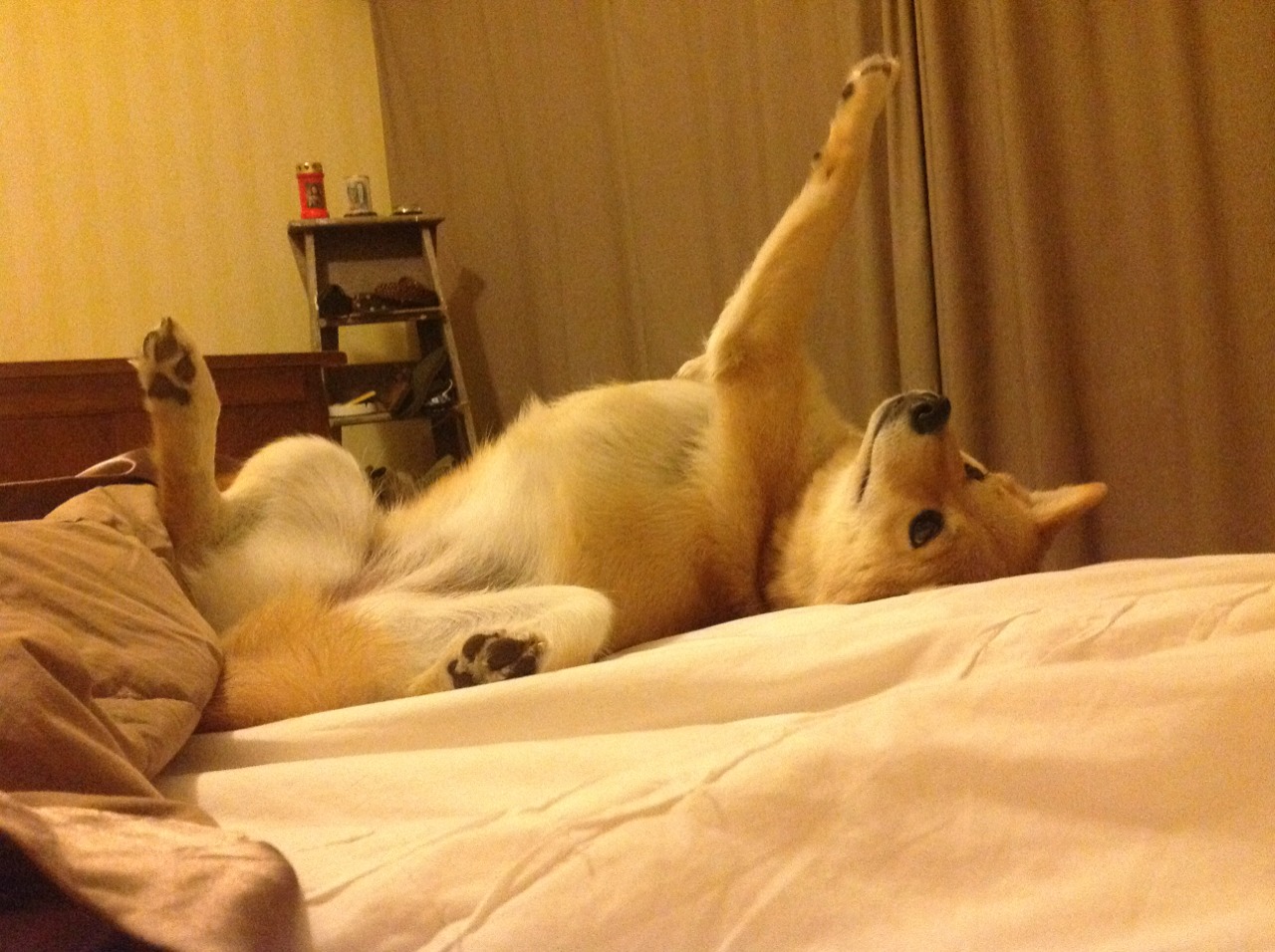 唯一性之战，劳塔罗的爆发引领澳大利亚战胜塞维利亚