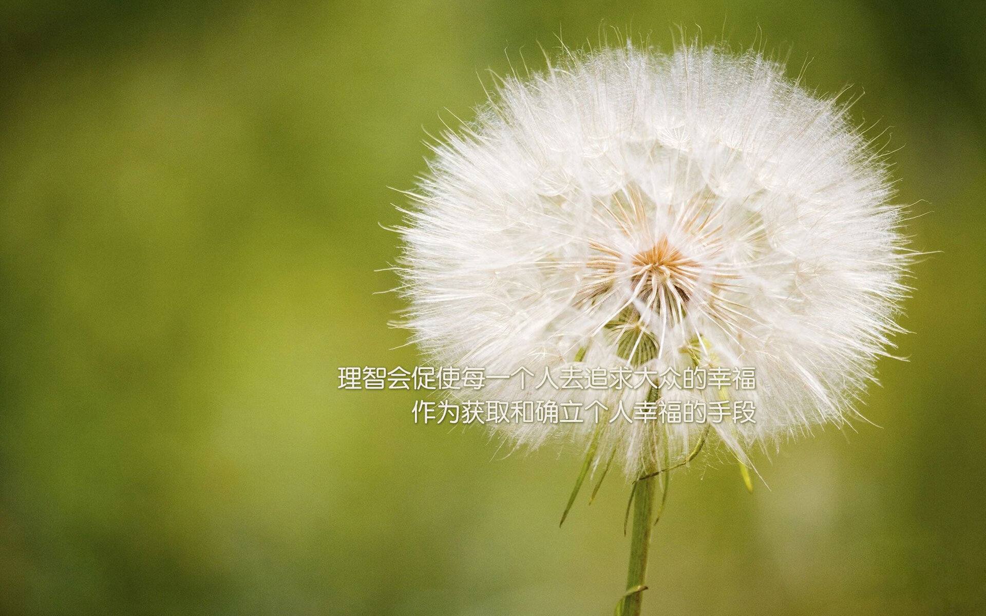 从盾到矛的裂变，国家德比之夜，坎特如何以进攻撕裂宇宙