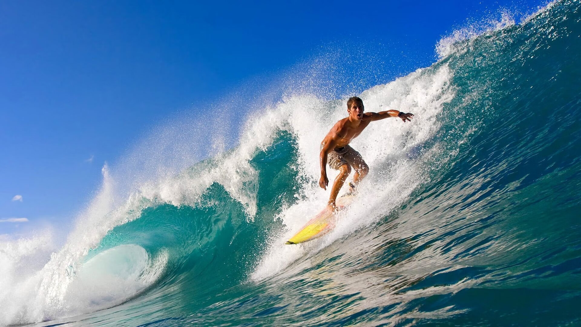 北非旋风单节闪击，阿尔瓦雷斯导演高原雄鹰溃败